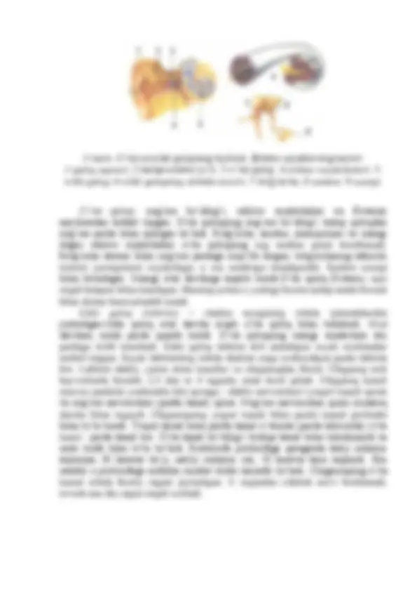 Anus atrofida qorongulik Anus atrofida qorongulik