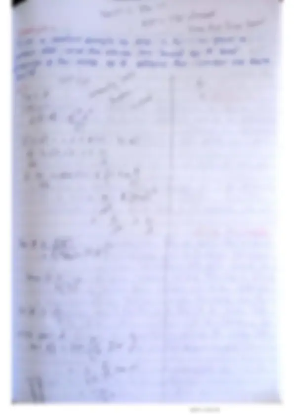 pf19