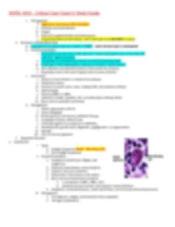 NURS 4431 - Critical Care Exam 3 Study Guide | Exams Biosafety | Docsity