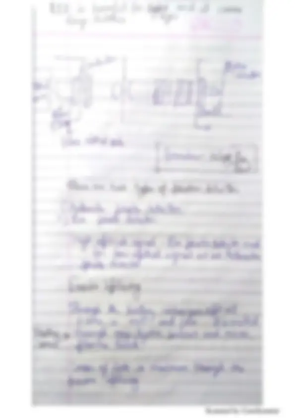 pf29