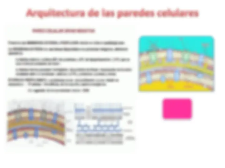 pf12