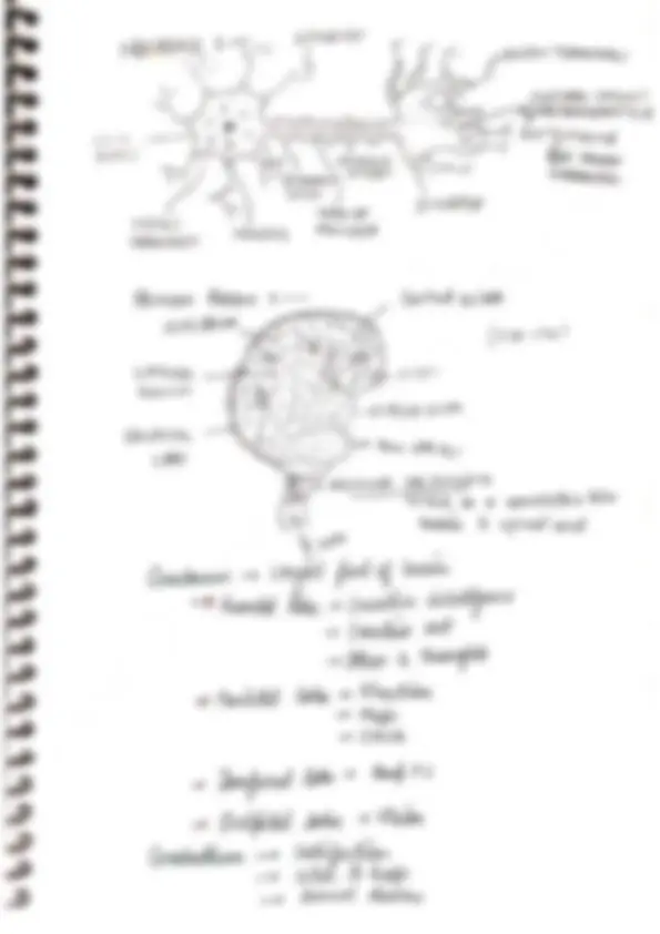 Biology - Human Physiology Handwritten Colorful Complete Notes | Study ...