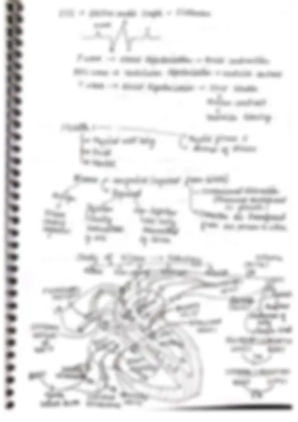 Biology - Human Physiology Handwritten Colorful Complete Notes | Study ...