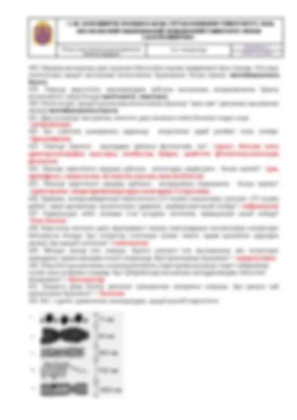 Порно видеодағы әйелі