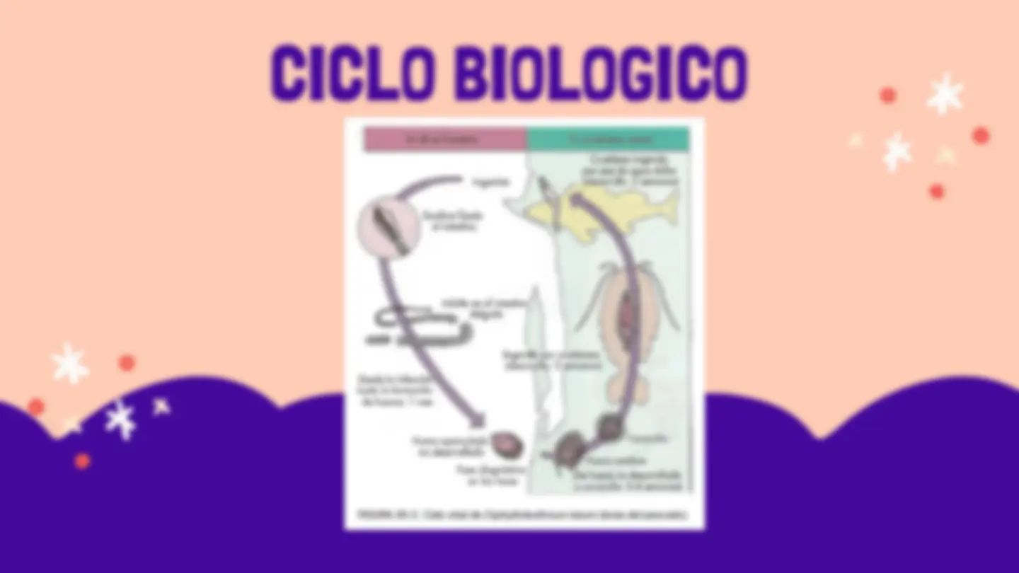 pf16
