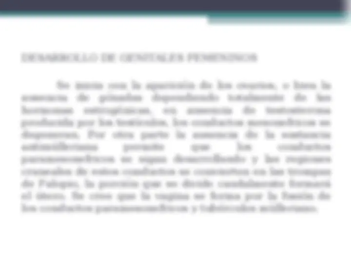 pf20