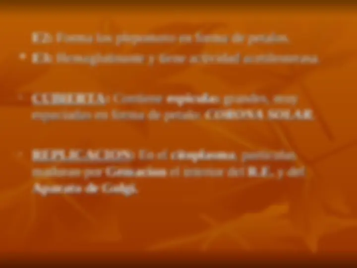 pf5b