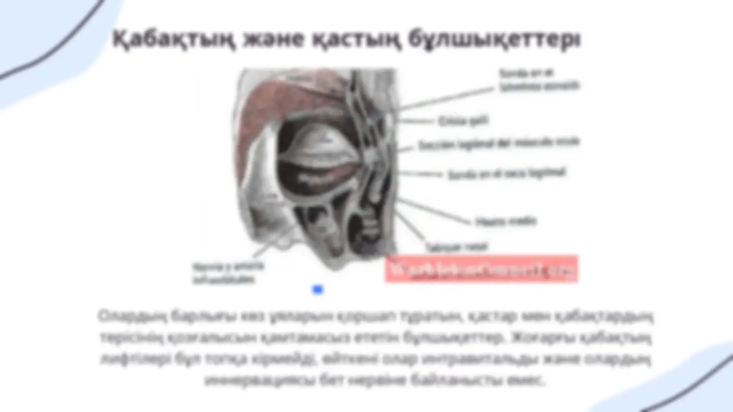 Nl косметика каталогы