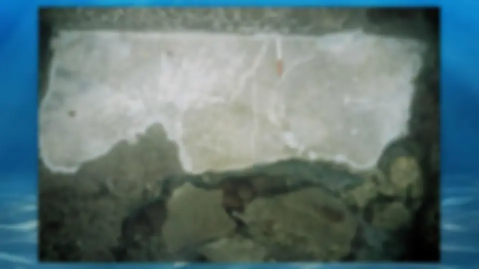 pf38