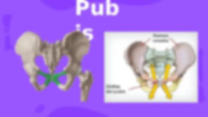 pf8