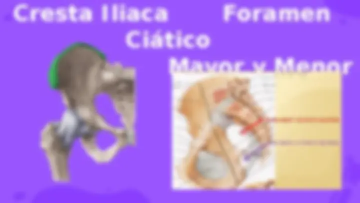 pf5