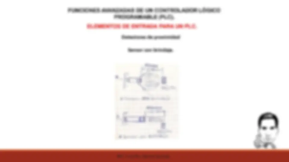 pf19