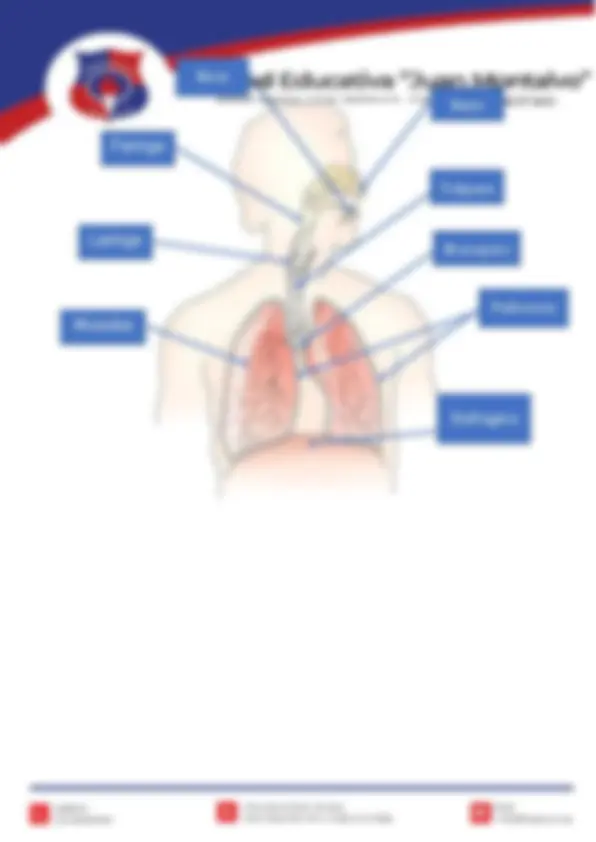 pf5