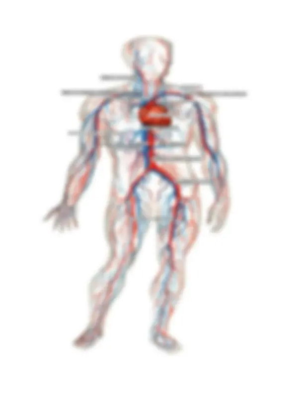 pf3