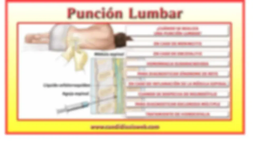 pf28