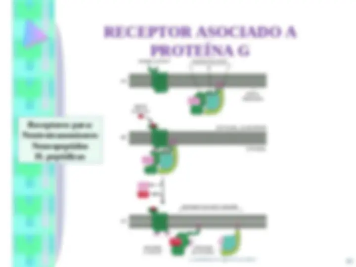 pfa