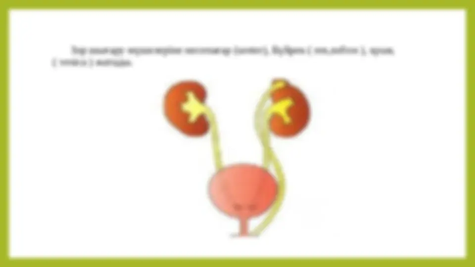 Транни порно суреттер Ең әдемі жалаңаш қыз бейнесі