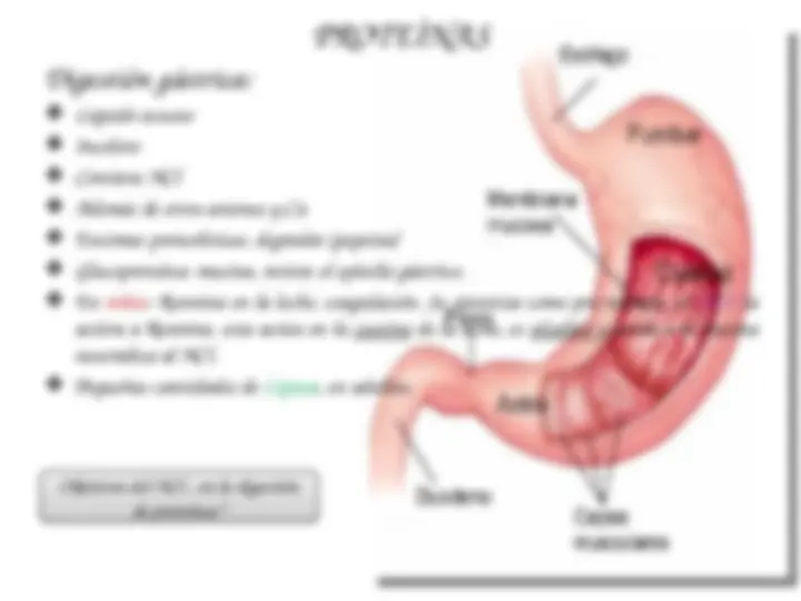 pf34