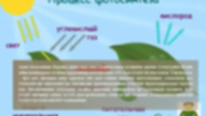 Crossdressers галереясы