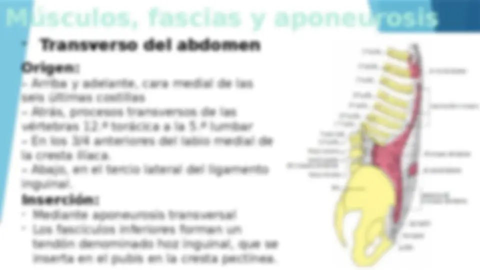 pfa