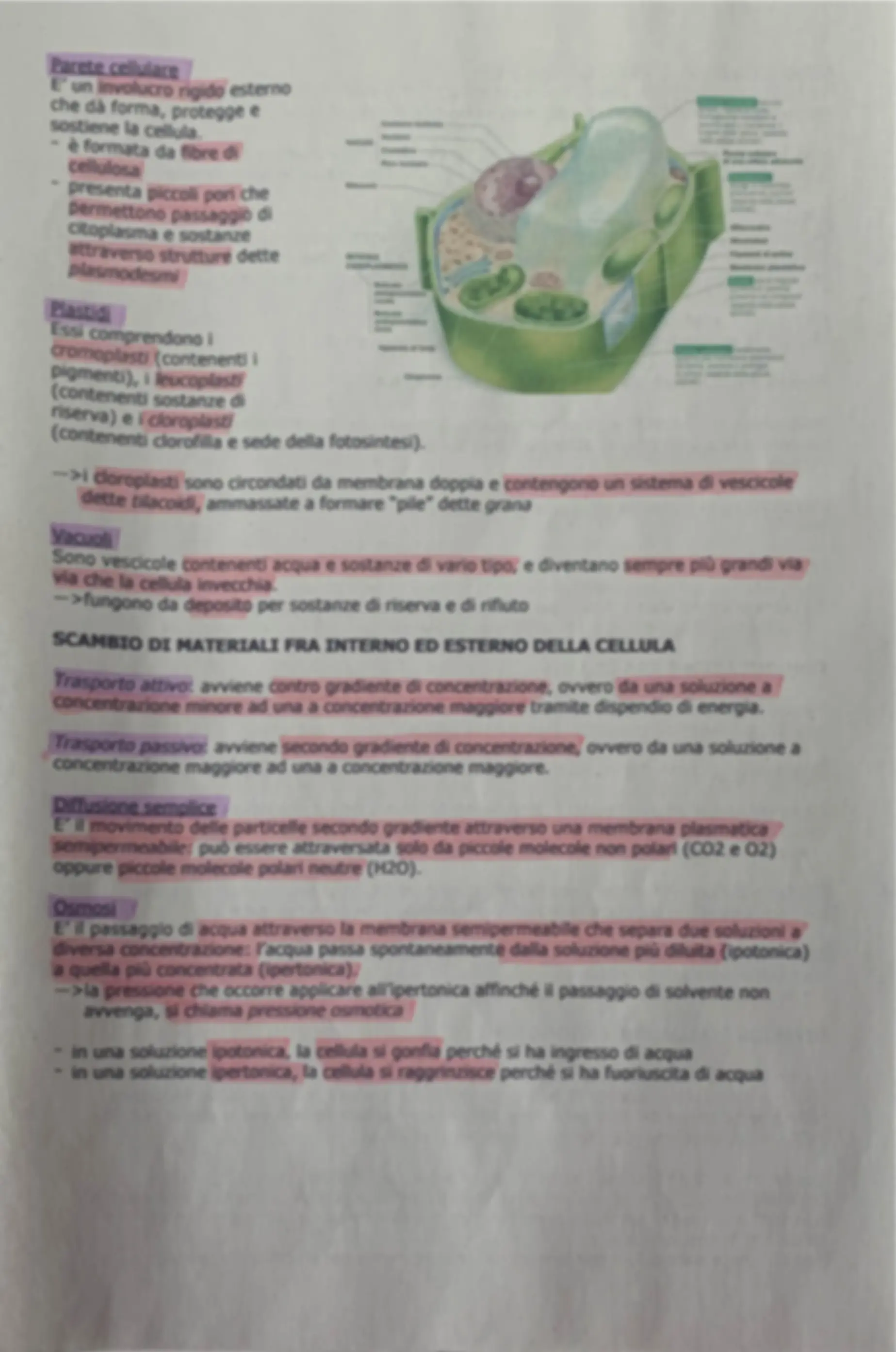 pf3