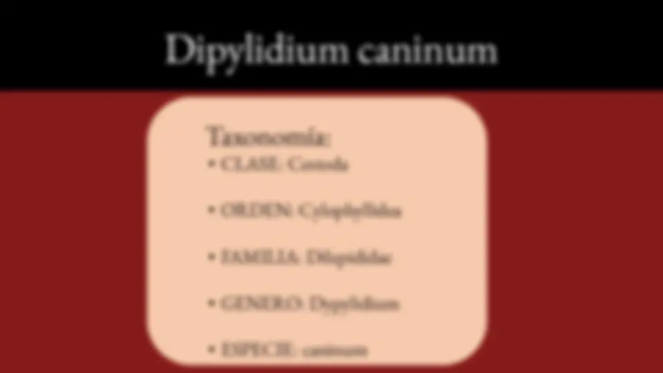 pf14