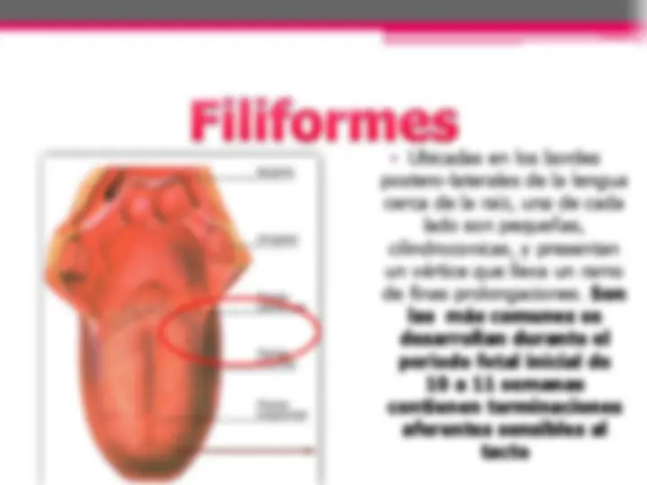 pf37