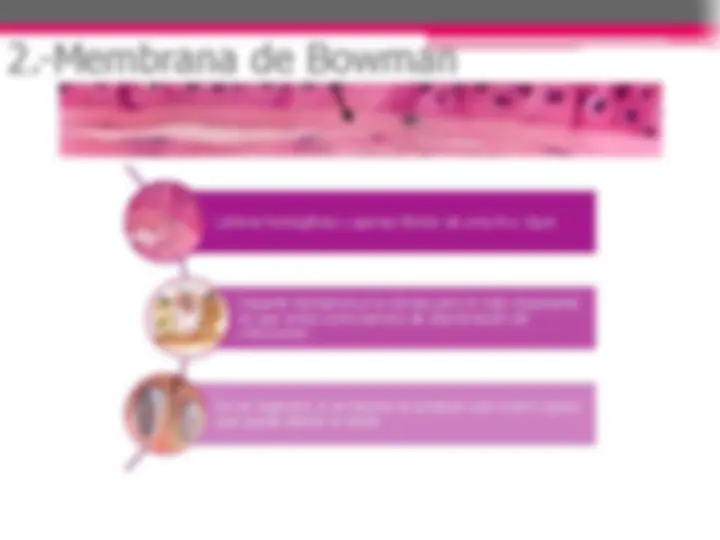 pf13