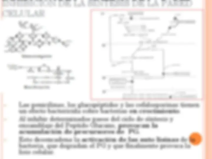 pf44