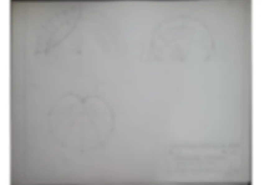 pf3