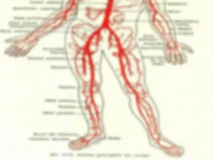 pf42