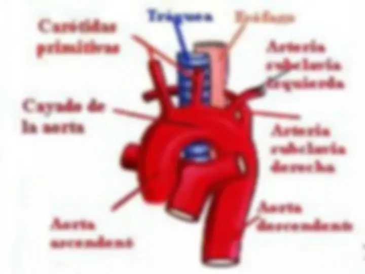 pf2f