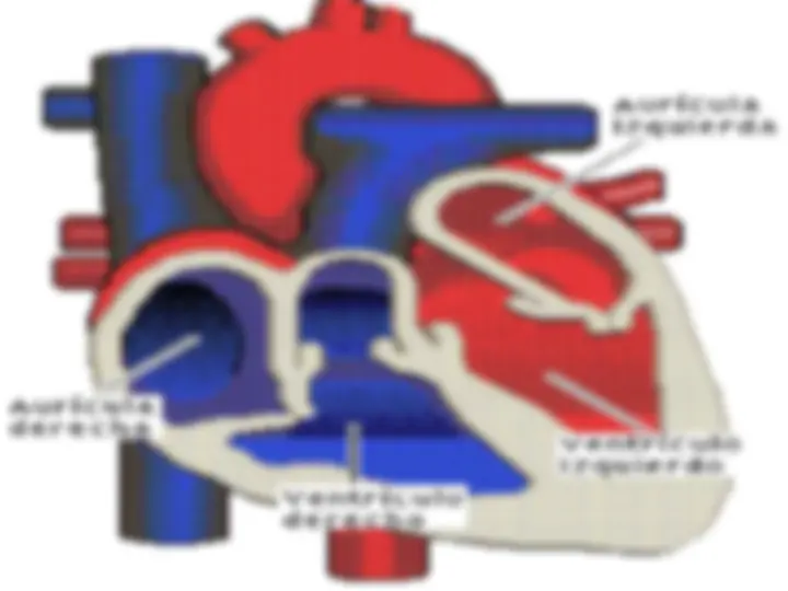 pf13