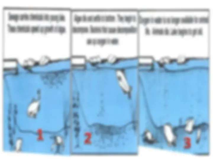 pfd