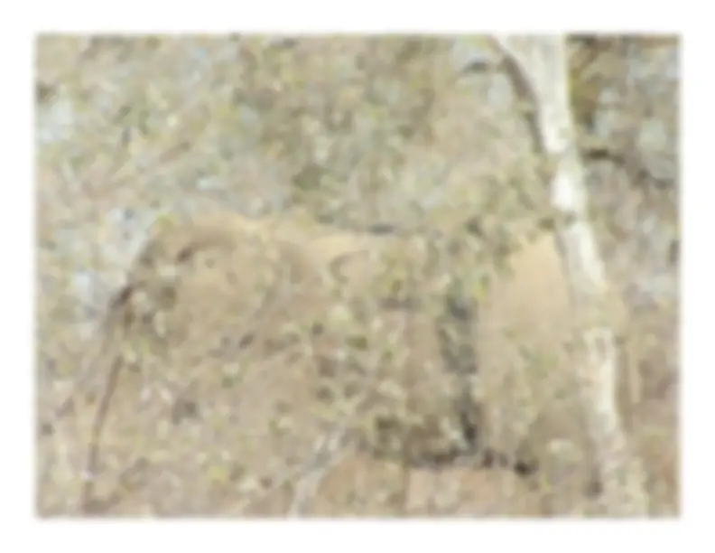 pf30