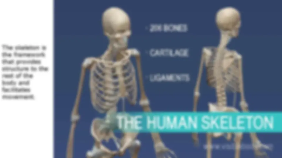pf4
