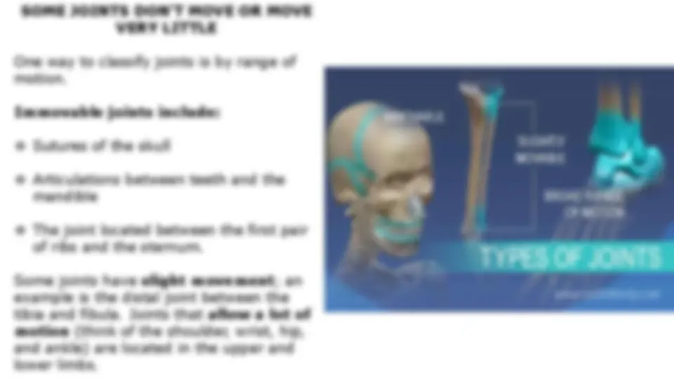 pfe