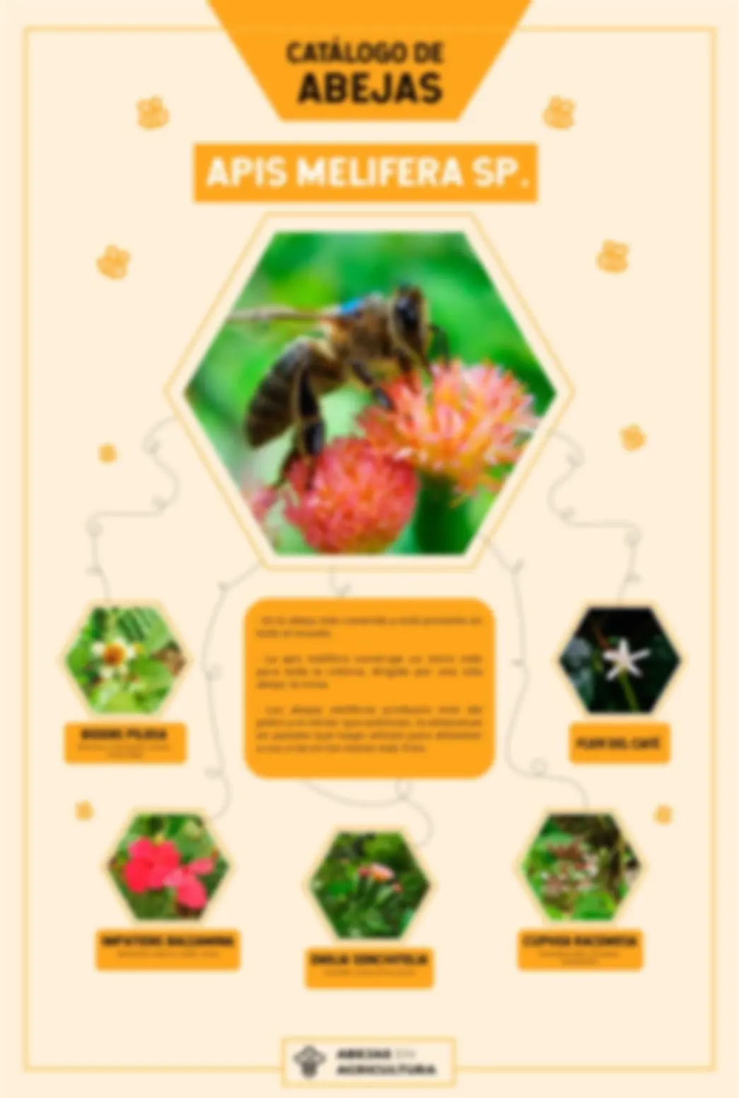 abejas catalogo melifera 2021
