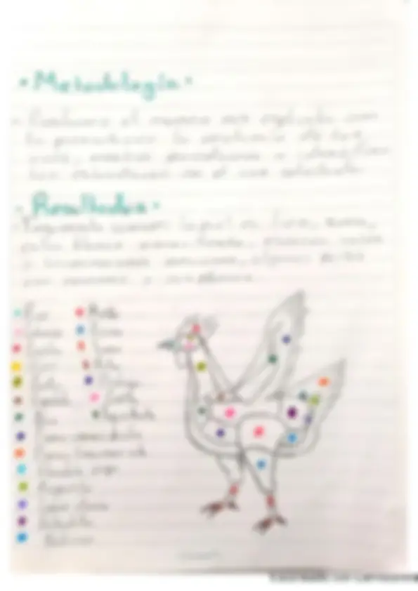 pf3