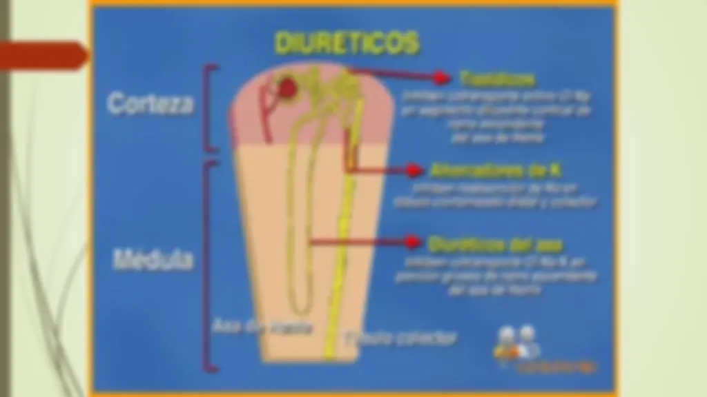 pfd
