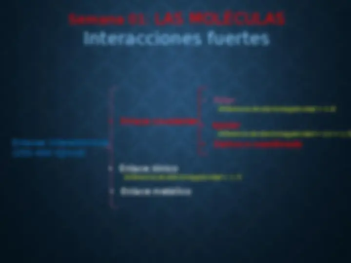 pf16
