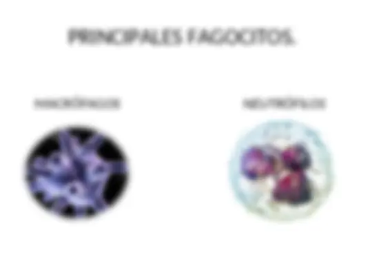 pf13