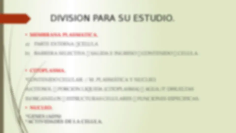 pf3