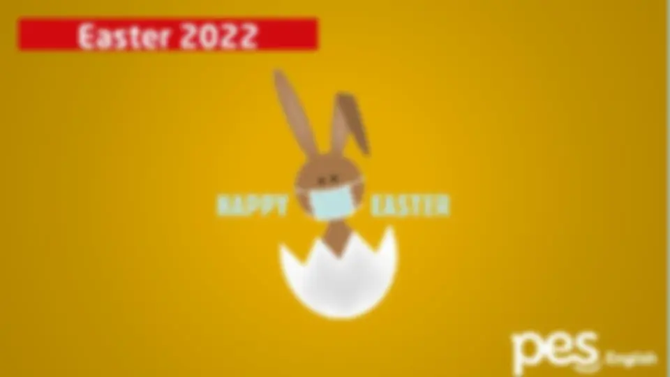 pf19