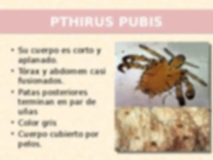 pf8
