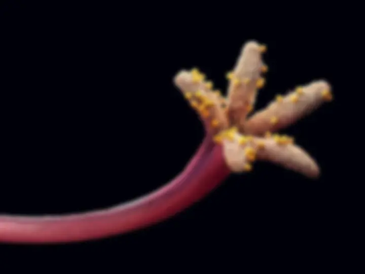 pf3