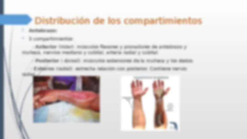 pfe