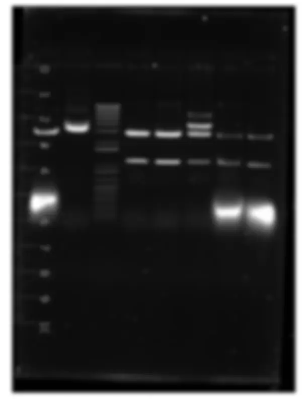 pf3