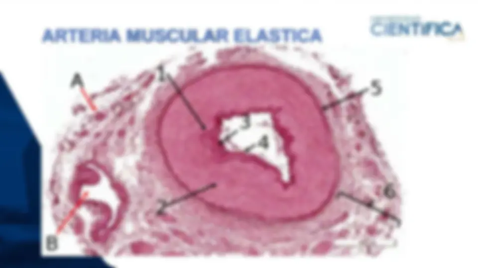 pf12