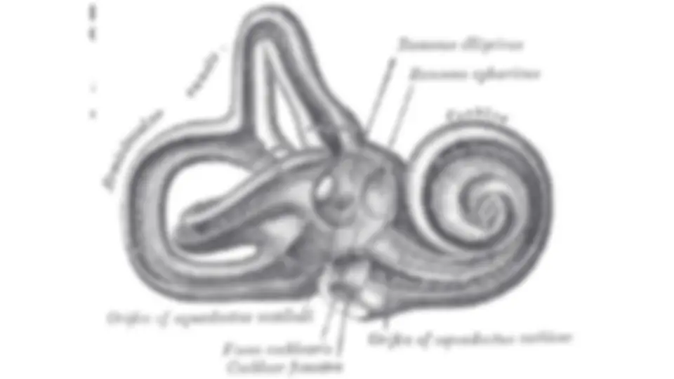 pf18